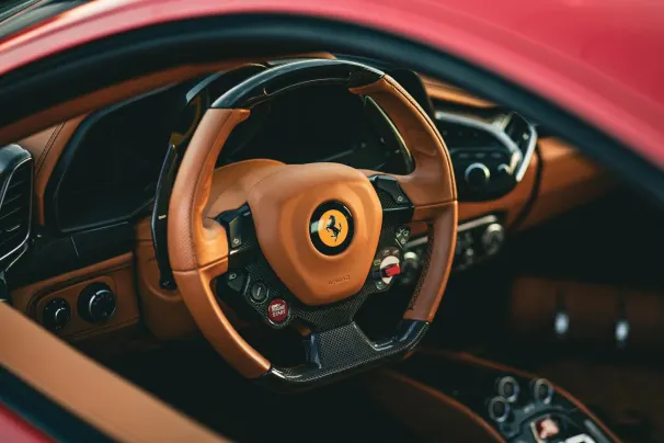 Casino Wild Joker App Android/iOS